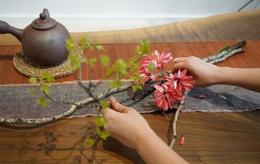 Входя в весну: креативность, Чакси и элемент дерева