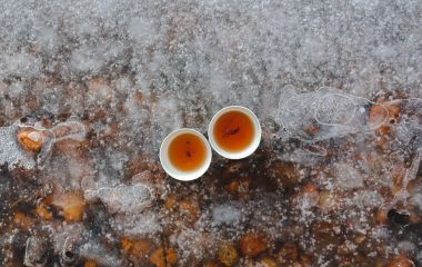 Под поверхностью: Встречая страх, находя мудрость