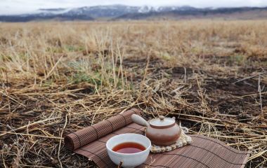 Обращение внутрь: ранняя зима и путь размышления